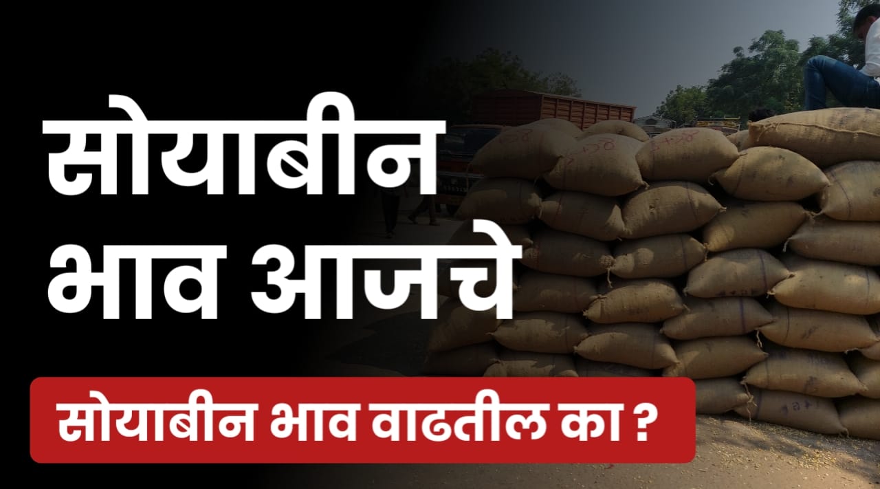 सोयाबीन भाव वाढले