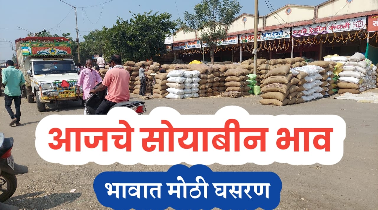 सोयाबीन बाजारभाव
