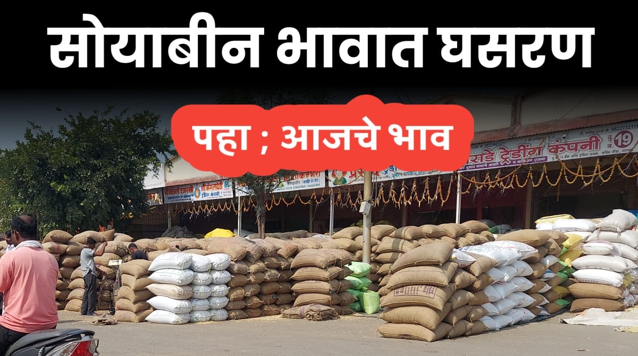 today सोयाबीन भाव