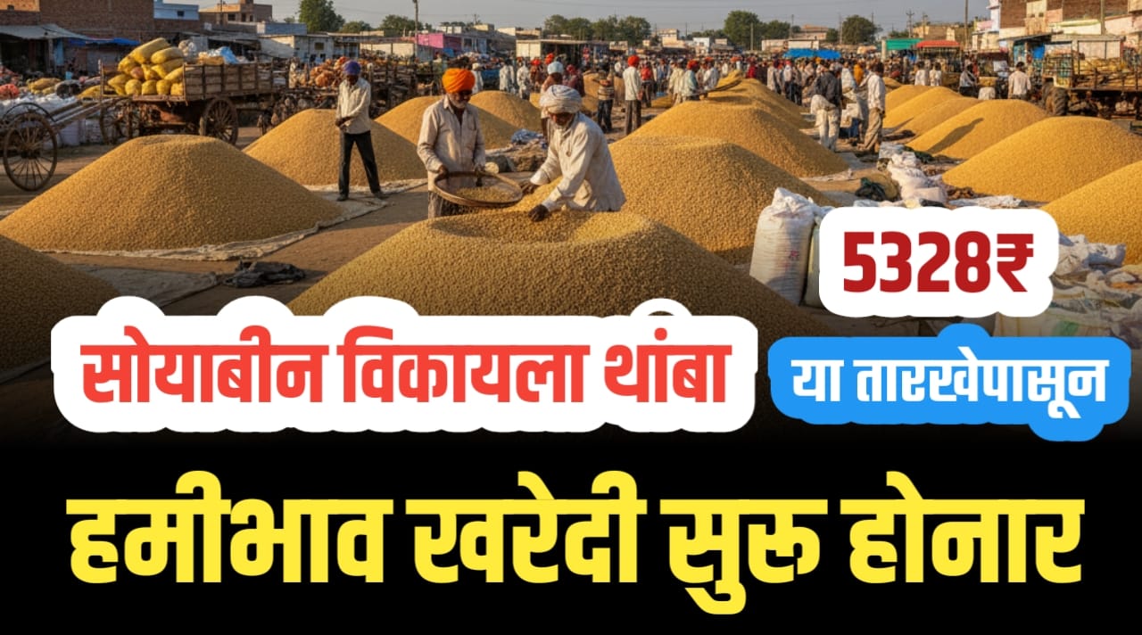 हमीभावात सोयाबीन खरेदी