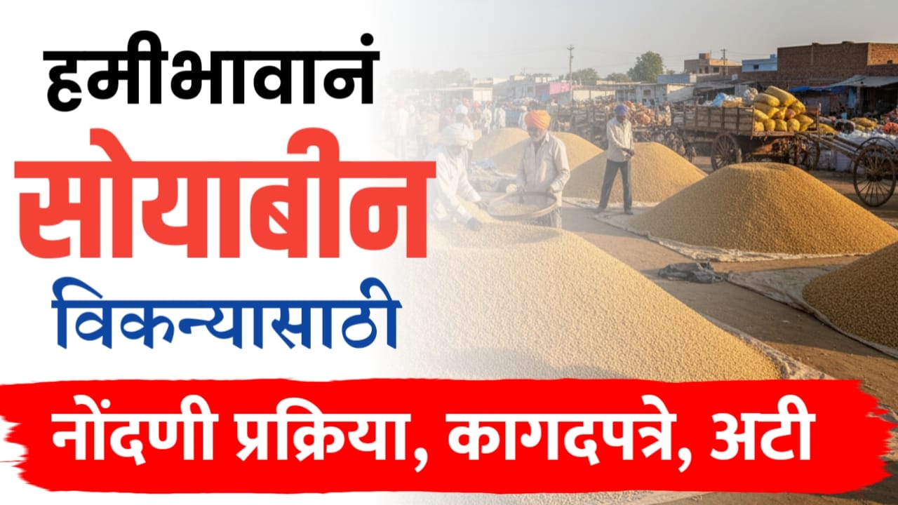 हमीभाव खरेदी