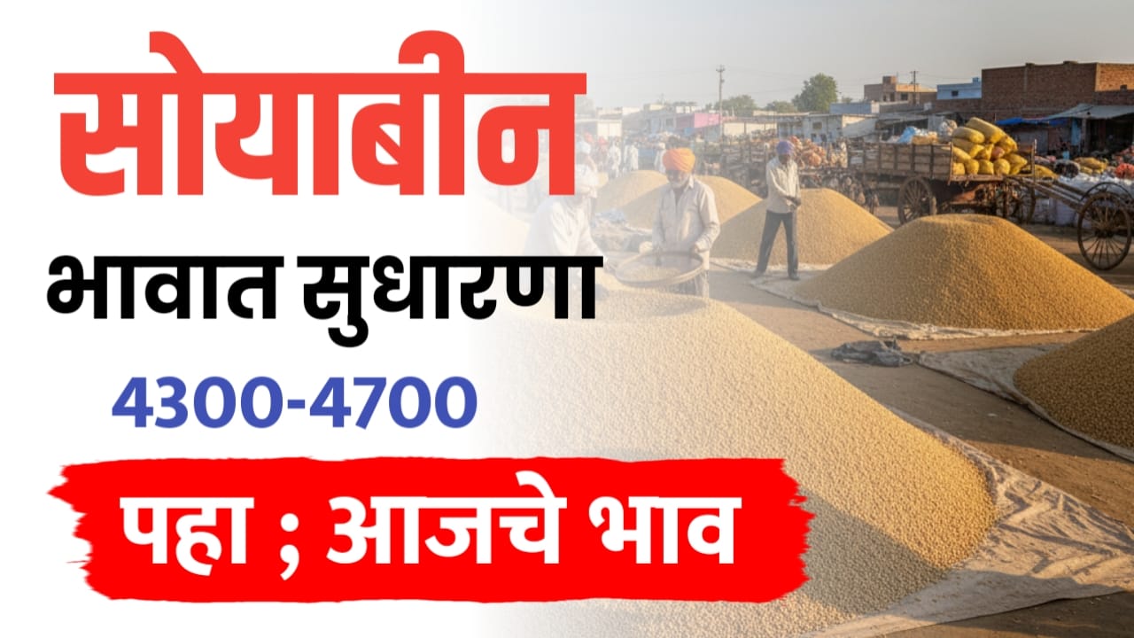 सोयाबीन भावात तेजी