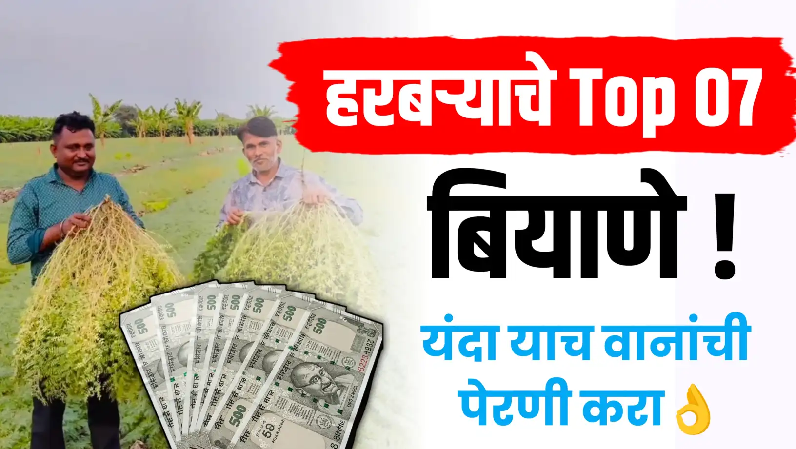 हरबरा टाँप 7 वान