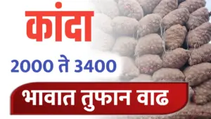 Onion rate ; कांदा भावात सुधारणा, पहा आजचे ताजे कांदा भाव