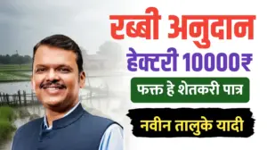 रब्बी हेक्टरी ₹10,000 अनुदान योजना: हे शेतकरी पात्र..तालूके यादी पहा